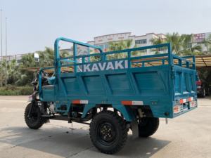 <span class=keywords><strong>Tribike</strong></span> Motocicleta DJL200 Triciclo Motocicleta 200CC Triciclos motorizados Triciclo para adultos para cargar mercancías - Product Image 5