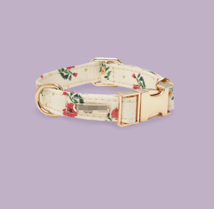 Groothandel TITANCORE Reflecterende Gepersonaliseerde Print Trainingshalsband, -riem en -tuigset voor honden & katten - Product Image 2