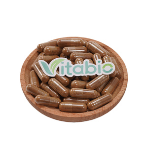 Capsules de Coriolus Versicolor : Complément alimentaire de haute qualité pour adultes (déconseillé aux femmes enceintes) – 60/90/120 comprimés par flacon - Product Image 1