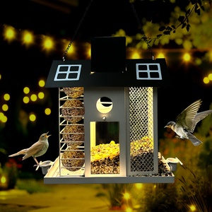 Mangeoire à oiseaux, nichoir, modèle américain, moineau, jardin extérieur, artisanat en fer - Product Image 1