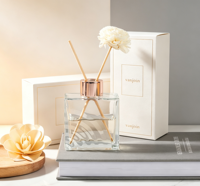 Flacon en verre vide de 100 ml de haute qualité pour diffuseur à bâtonnets d'arômes, idéal pour les huiles essentielles et les liquides d'aromathérapie