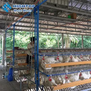 Alta qualidade automática chinesa Industrial Metal Chicken Coop para camada