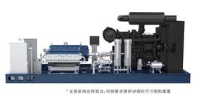 Bomba de Pistón de Alta Presión 800-2800 Bar para Astilleros / Intercambiadores de Calor / Limpieza de Buques Cisterna - Product Image 2