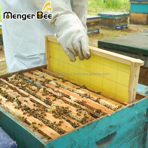 Nuevo Modelo de Colmena Menger FR-2-02, Marcos de Madera Ensamblados, Ojales de Alambre de Acero Inoxidable, Lámina de Cera de Abeja Amarilla para - Product Image 2