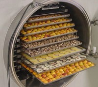 Ligne de production de fruits lyophilisés sous vide Machine de lyophilisation industrielle