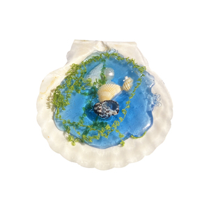 Jouet à presser créatif en forme de coquillage, en plastique TPR, cadeau kawaii pour garçons, filles et enfants - Product Image 6