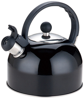 2.5L usage domestique en acier inoxydable sifflement thé bouilloire bakélite poignée Induction fond résistant à la chaleur métal plastique verre matériel 3L