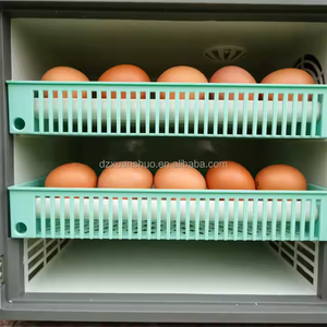 Incubateur à œufs de poulet entièrement automatique JIATAI, capacité 50 œufs, prix de gros, en vente - Product Image 2
