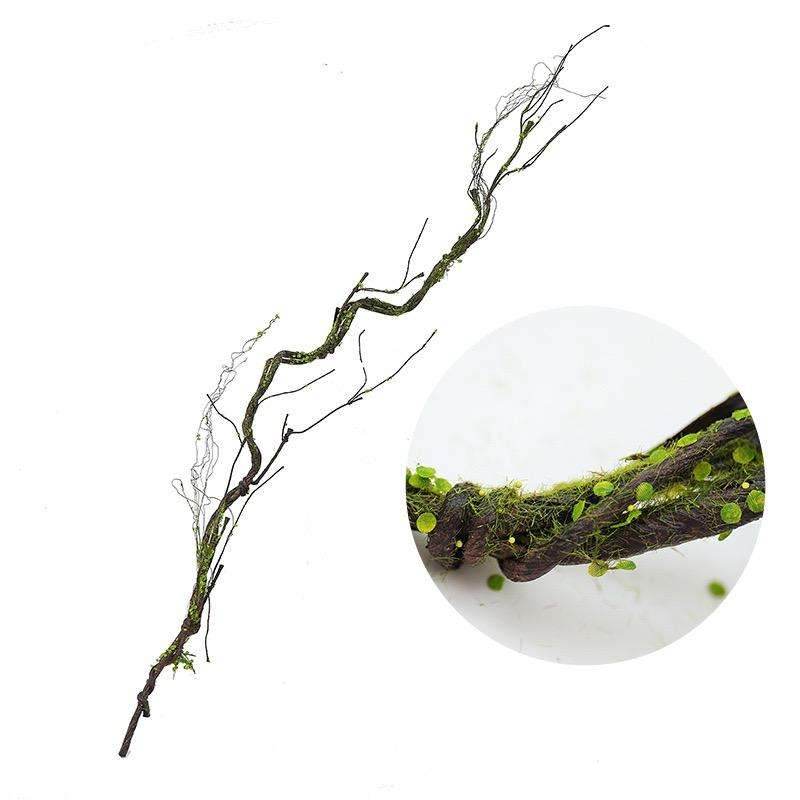 marron 1,7 m, diamètre : environ 2 cm