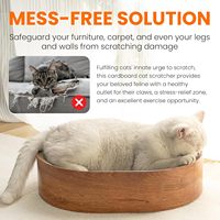 Chat ovale griffoir carton lit interactif Kitty formation jouet recyclé conseil chat gratter