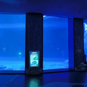 Entreprise de conception personnalisée et fabricant d'aquariums sur le thème du monde sous-marin, de restaurants sur le thème de l'océan et d'environnements sur le thème des sous-marins - Product Image 3