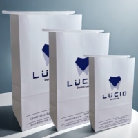 Bolsas de entrega dentales para clínica impermeables personalizadas, bolsa de papel blanco con logotipo, bolsa de papel para esterilización de dientes, bolsa de estaño para corbatas, sorteo