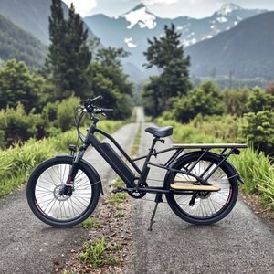 Vélo cargo électrique familial à pneus larges et longues roues, avec siège bébé, prix abordable, favori des clients - Product Image 4
