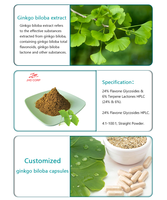 Ginkgo Biloba Extrakt Pulver 24% Flavonol-Glykoside 6% Terpen-Lactone USA EU Lager Premium-Qualität Kräuterextrakt