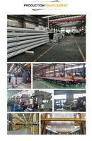 Supports de montage de panneaux solaires en acier galvanisé à chaud, économiques, faciles à installer et à conception encadrée pour installation au sol