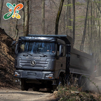 Camion benne minier poids lourd Shacman 8x4 d'occasion avec moteur diesel Weichai FAST, caméra arrière et vérin hydraulique, direction à gauche