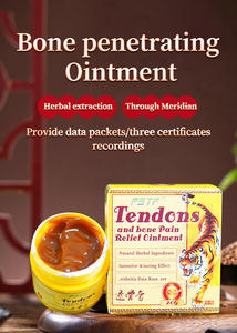 Crème anti-douleur à base de plantes chinoises tigre 20g usine OEM vente en gros massage des muscles des articulations lombaire du dos - Product Image 2