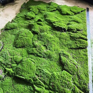 Vente directe d'usine tapis <span class=keywords><strong>de</strong></span> mousse artificielle <span class=keywords><strong>de</strong></span> grande taille pour la conception <span class=keywords><strong>de</strong></span> jardin nouvelles plantes <span class=keywords><strong>de</strong></span> verdure <span class=keywords><strong>de</strong></span> <span class=keywords><strong>gazon</strong></span> Moos pour la Saint-Valentin <span class=keywords><strong>de</strong></span> mariage - Product Image 1