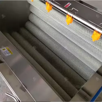 Rolborstelwasser voor fruit, groenten, kokosnoot, maïs, automatische suikerriet schil- en reinigingsmachine