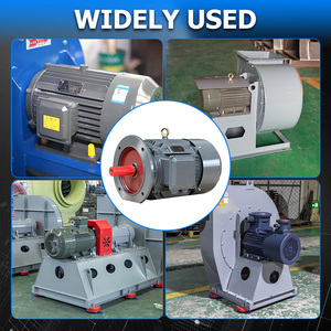 Motor de Inducción Trifásico de CA de 60Hz, 380V, 15kW, 20hp, 100% Cobre, 2880rpm, 2 Polos para Bombas - Product Image 6