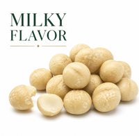 Envío Global, Macadamia, MOQ Bajo, Comienza desde 5 kg, Suministro a Granel, Ejemplos Disponibles, Ingrediente para Helado Cremoso y Crujiente