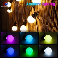 Guirlande lumineuse LED RGB TTL 80 mm pour la décoration des parcs et des centres commerciaux, tube artistique ciel étoilé, éclairage d'ambiance pour fêtes