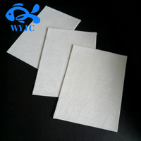 Tissu géotextile haute résistance, tissu non tissé 0,8-5,5 mm 200g 300g pour la construction routière, la filtration des sols et la protection des pentes