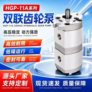 Pompe à engrenages tandem HGP-11A, huile hydraulique, machines industrielles - Product Image 3