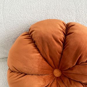 Jiuyi <span class=keywords><strong>Coussin</strong></span> Citrouille en Velours <span class=keywords><strong>Multicolore</strong></span> Haute Qualité, Doux, Moelleux et Épais, Confortable pour Fauteuil ou Décoration de Canapé - Product Image 3