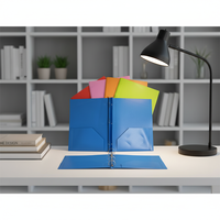 Organiseur de documents format A4 personnalisable en matériau PP CRS, sac à documents extensible