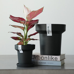 Maceta de Plástico Negra Estilo <span class=keywords><strong>H</strong></span>, Diseño Simple y Transpirable, para Uso en Escritorio del Hogar, Tamaño Pequeño para Plantas de Taro y Phalaenopsis - Product Image 2