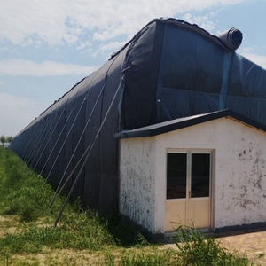 <span class=keywords><strong>Serre</strong></span> en film plastique solaire passif FM pour l'hiver, système de plantation verticale de fraises avec mur arrière en terre - Product Image 6