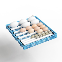 Incubateur d'œufs de poulet automatique intelligent de 105 capacités avec alimentation électrique automatique en eau