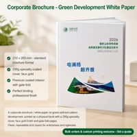 Service d'impression de brochures d'entreprise 210x285mm Papier couché 250g/m² Dorure à chaud Pliage en accordéon