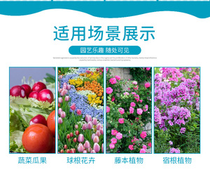 Bandeja para Semillas MQ China 2026, Material PVC, 28 Agujeros, Ligera, Ecológica, Reutilizable, Portátil, Cuadrada - Product Image 6