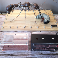 Cage en acrylique pour insectes, conteneur de ferme pour fourmis, nid détachable à aimant