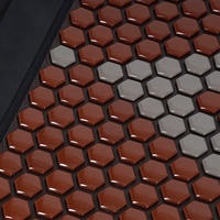 Alfombrilla NDT coreana infrarroja única T20, Nano diamante certificado FCC para turmanio, cerámica, turmalina, masaje corporal Physiothera