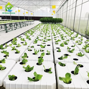 Hệ Thống Trồng Rau Và Cá Thủy Canh Chất Lượng Tuyệt Vời Với Aquqponic Commercial Sets - Product Image 3