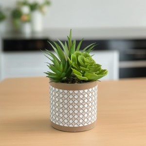 Suculentas artificiales en maceta de cemento Pequeña planta de <span class=keywords><strong>cactus</strong></span> artificial <span class=keywords><strong>para</strong></span> estante de sala de estar - Product Image 6
