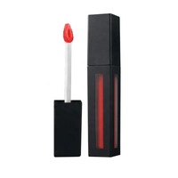 Gloss à lèvres mat personnalisé avec logo, longue tenue, imperméable, anti-adhésif, rouge à lèvres liquide, vitamine E, marque privée, maquillage pour les lèvres, cosmétiques