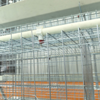 Cages à poulets de type A avec prix compétitifs, dimensions optimisées pour 1000 poulets pondeuses, conçues pour l'élevage de poules pondeuses, occasion, en vente