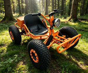 Go-Kart Eléctrico para Niños con Tracción por Eje, Vehículo Todoterreno de Cuatro Ruedas para Adultos, Auto para Uso en Carreteras No Públicas - Product Image 2