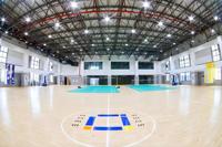 Estructura de acero ligera prefabricada para gimnasio de gran envergadura