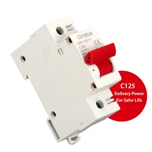 Low MOQ 35mm Rail Mounting Big Current AC 80A 100A 125A 27mm Mini Circuit Breaker 1P 2P 3P 4P