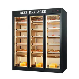 2023 New dry refrigerator commercial glass door meat dry cargo freezer anti-aging cold storage cabinet