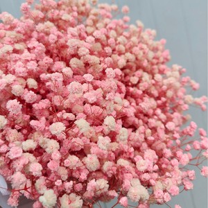 Bouquet di Gypsophila Fiori Conservati di Gypsophila Bianchi Fiori Secchi per Matrimoni o Decorazioni Domestiche - Product Image 5