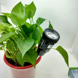 <span class=keywords><strong>2</strong></span> <span class=keywords><strong>In</strong></span> <span class=keywords><strong>1</strong></span> Bodemdetector Zonlicht Ph Vocht Bodemmeter Testinstrument Voor Gazonverzorging <span class=keywords><strong>In</strong></span> De Boerderij - Product Image 6