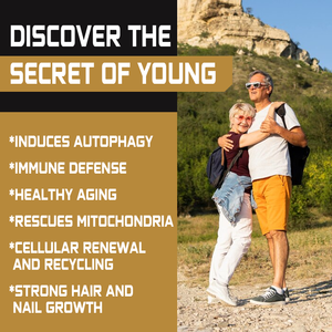 LIFEWORTH 1300mg Trigo Germ Extract Cápsulas Superior conteúdo espermidina Suplementos lipídicos com zinco - Product Image 4