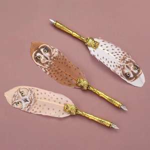 2022 जादू स्कूल पंख कलम सेट उल्लू पंख कलम उपहार बॉक्स रेट्रो पानी फाउंटेन पेन सेट - Product Image 6