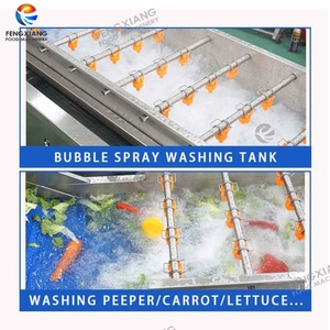 Commercial Mango Air Bubble Washing <b>Machine</b> Mango Fruit Washer Equipment 1500-3000KG/H - Product Image 3